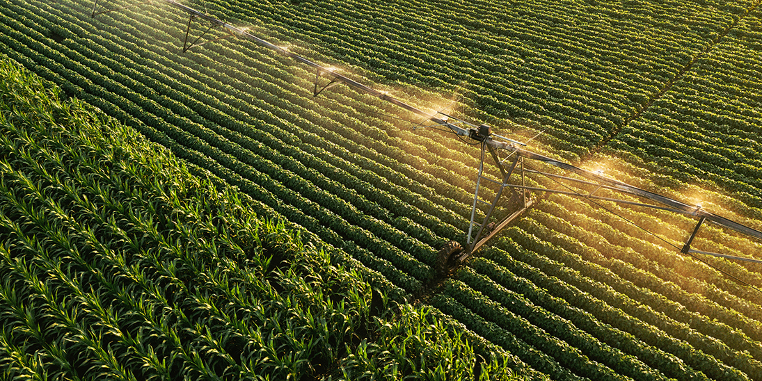aerial view of irrigation equipment watering